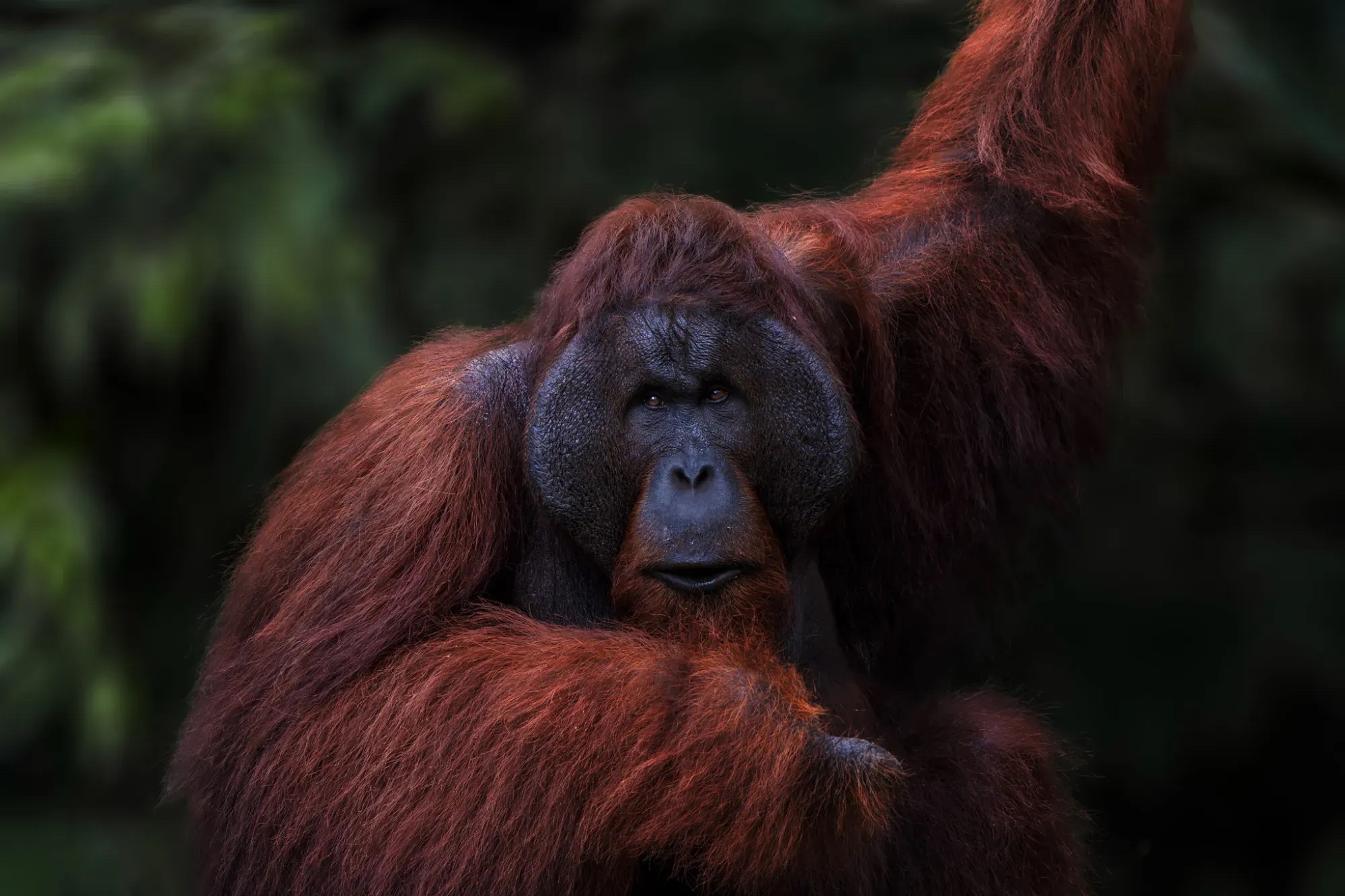 Documentary and wildlife photograph by Maria Mazzillo