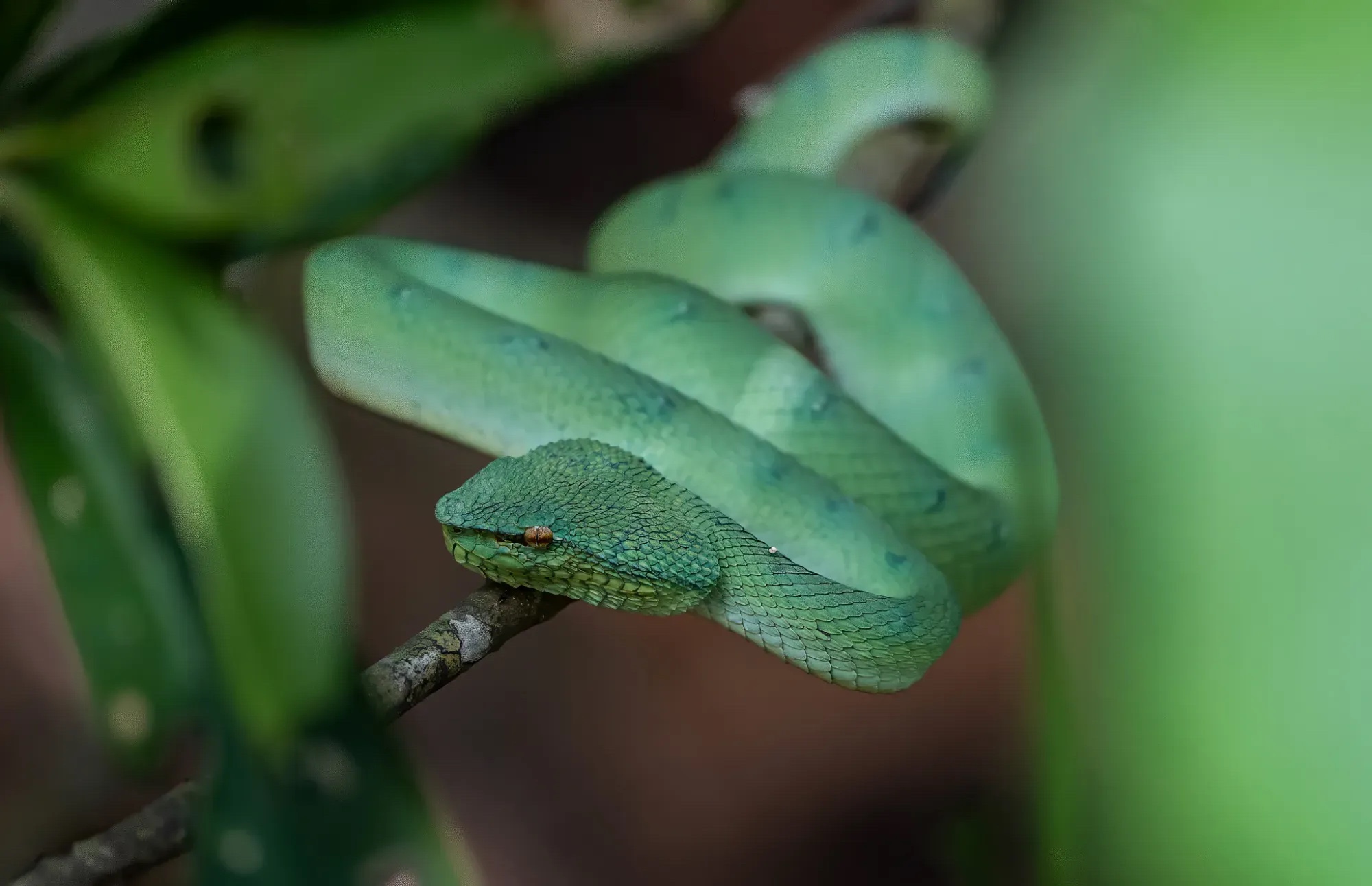 Documentary and wildlife photograph by Maria Mazzillo